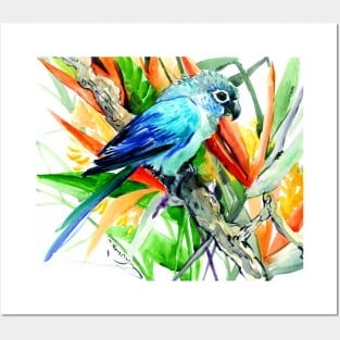 Parrot and Tropical Foliage, Tropical Colors Posters and Art
